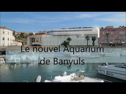 Aquarium de Banyuls sur Mer - Bien plus qu&#039;un &quot;Zoo à Poissons&quot;