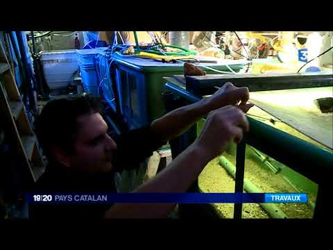 Canet-en-Roussillon : l&#039;aquarium ouvrira en juin 2019