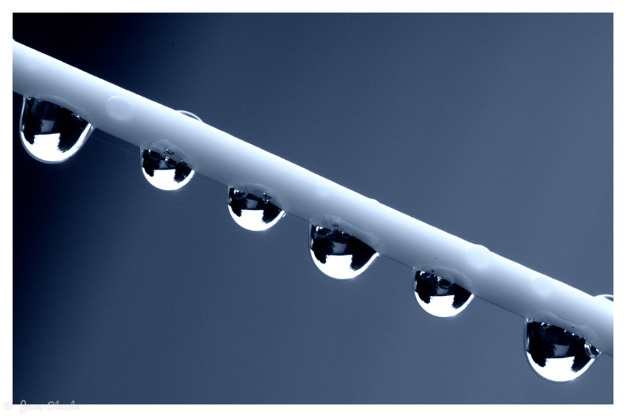 Les gouttes de pluie sur une corde à linge
