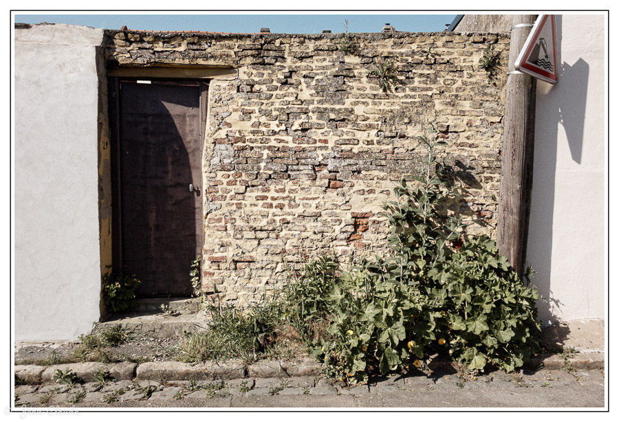 Vieux mur. - La Madeleine 59110
