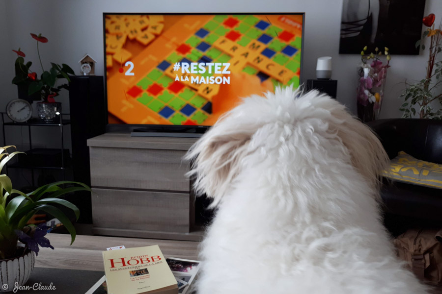 Restez chez vous