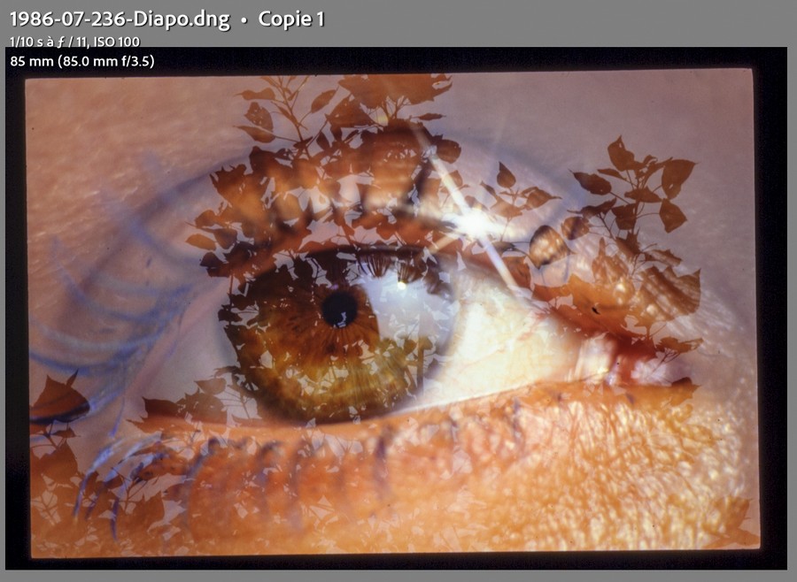Image brute D60 (cadrée au mieux) - Dimensions 3872x2592 (~10 Mp) - Recadrée : 3510x2349 (~8Mp)