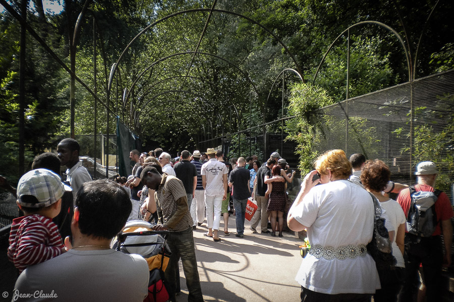 La volière historique du zoo de Lille, 2010