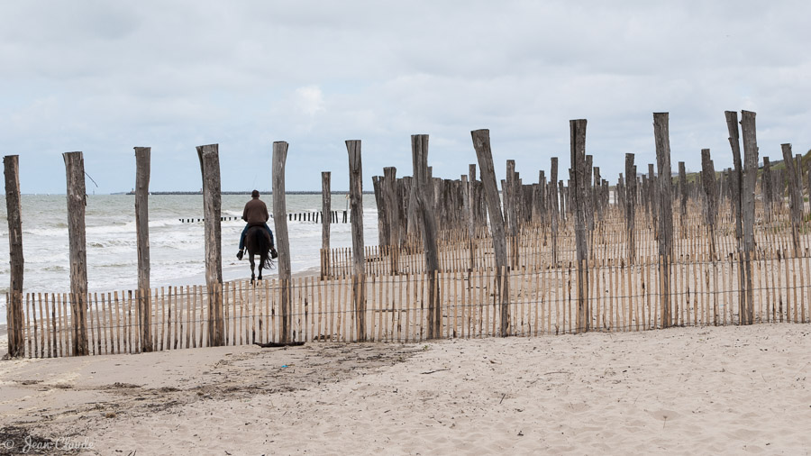 Réserve naturelle du Platier d’Oye – Le cavalier sur la plage des Escardines