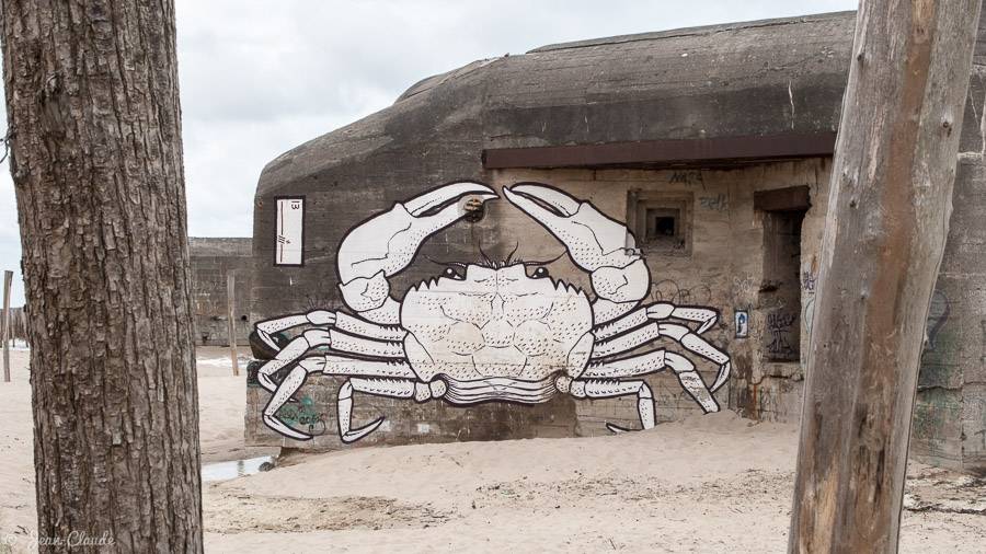 Le blockhaus au crabe – Réserve naturelle du Platier d’Oye