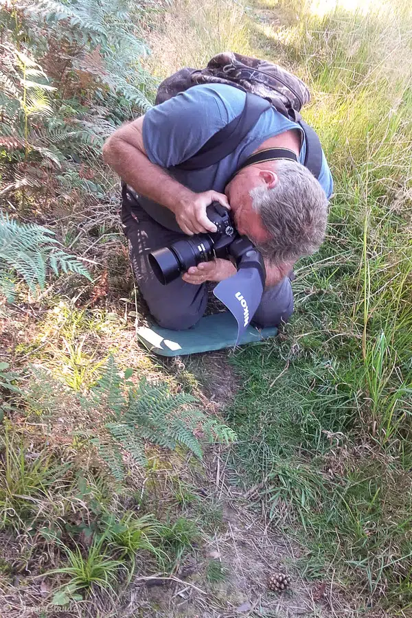 Photographe macro