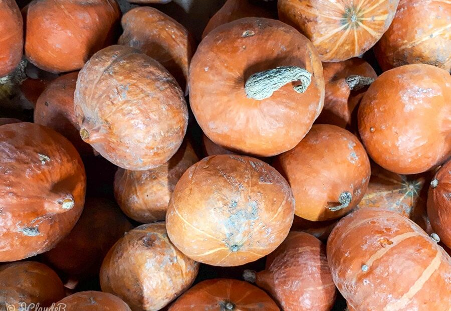 Les potimarrons sont un groupe de cultivars du potiron, d'origine mésoaméricaine ou peut-être andine.