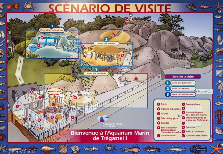 Scénario de visite de l'aquarium de Trégastel