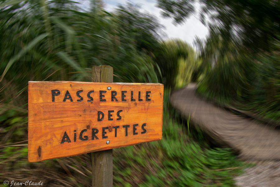 Le marais de Fretin Flou de tiré