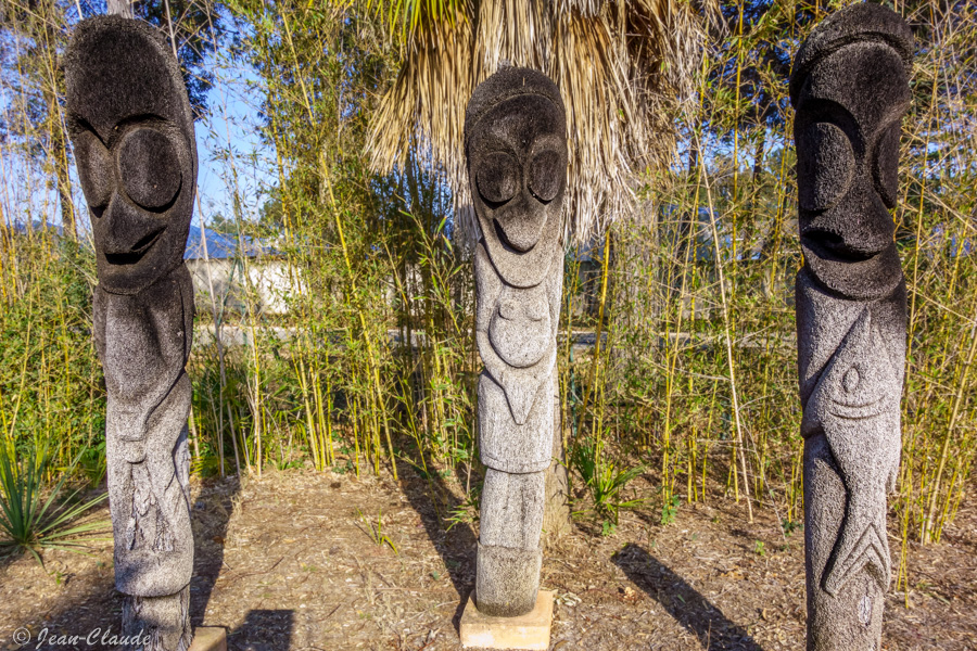 Statues de prise de grade Traditionnellement réalisées lors d’une cérémonie de prise de grade, chaque statue est à l’effigie d’un ancêtre. Les statues ont été sculptées dans des troncs de fougères arborescentes par des artistes du village de Magnan au nord d’Ambrym (Océan Pacifique).