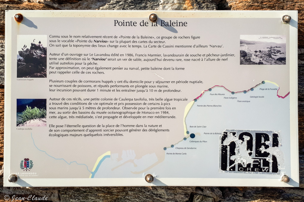 Panneau touristique le long du chemin côtier de la pointe de la baleine au Lavandou