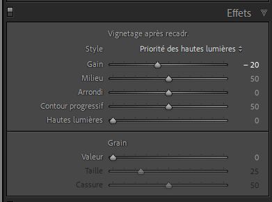 Lightroom Effets