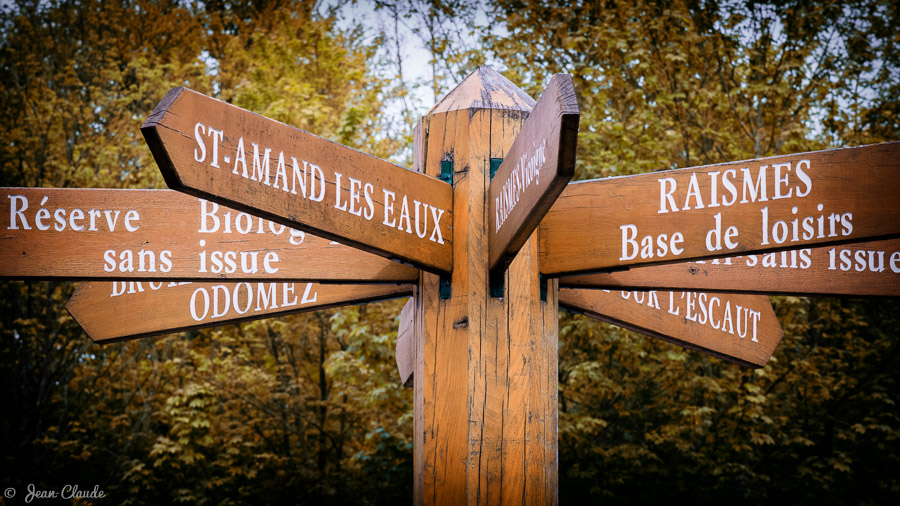 À la croisée des chemins - Forêt de Raismes-Saint-Amand-Wallers, 2014