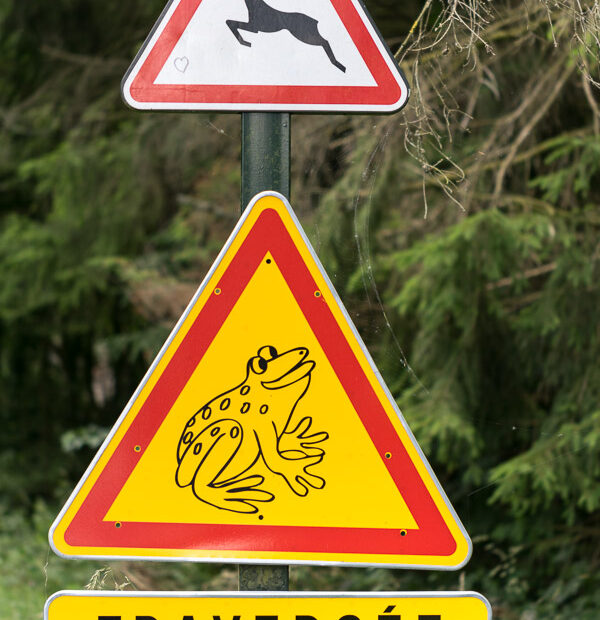 Panneau de signalisation "Traversée de grenouilles" - Forêt domaniale de Marchiennes