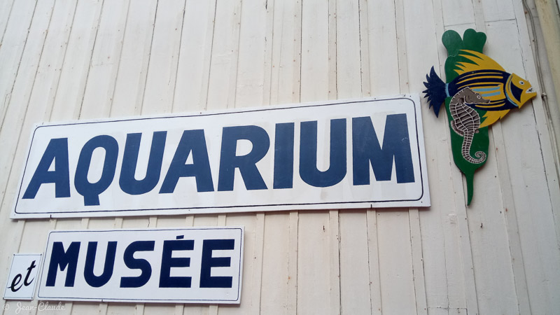 Aquarium d'Arcachon, 2017