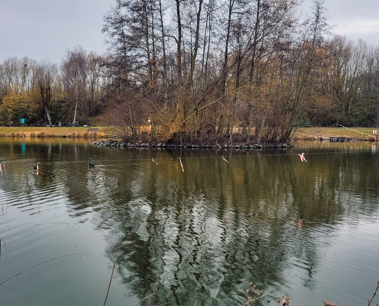 La petite île - étang de Marquette en hiver.
