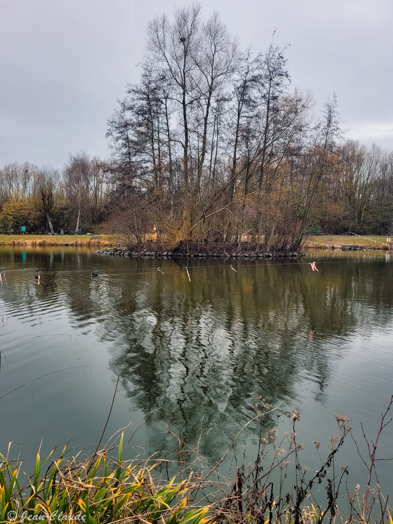 La petite île - étang de Marquette en hiver.